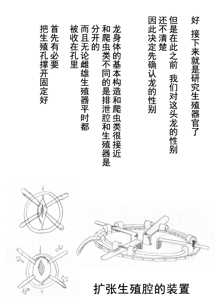 竜族の捕獲に成功