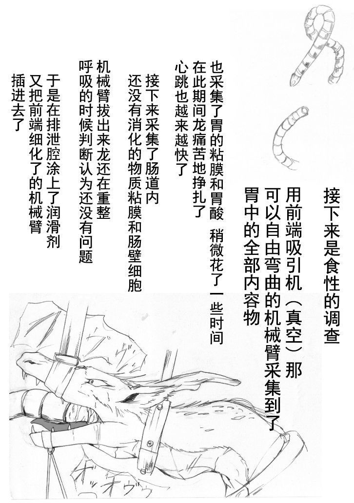 竜族の捕獲に成功