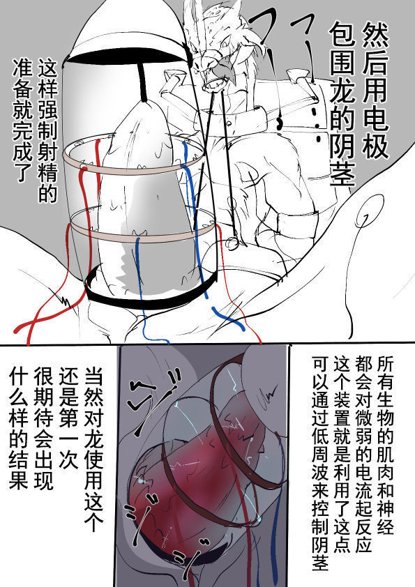 竜族の捕獲に成功