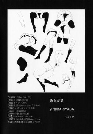 SUKEBE Files VOL.02 Page #29