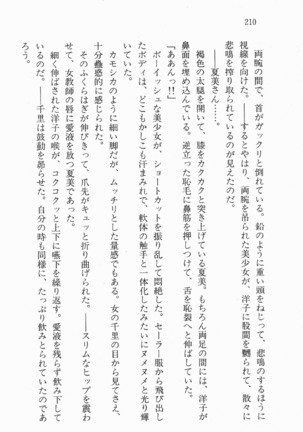 尼僧退魔師物語２　完熟魔術、妖しく溶けて Page #211