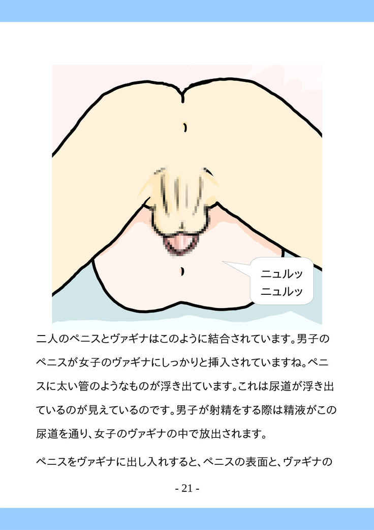 Shishunki no Tame no Sex no Hon
