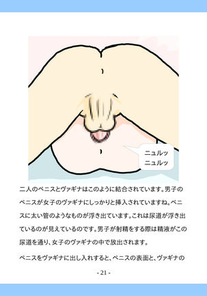 Shishunki no Tame no Sex no Hon Page #22