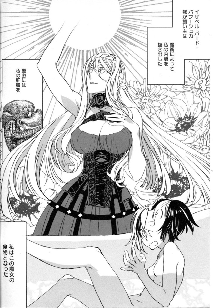 Mebae Vol. 5 - Vivid Girls Love
