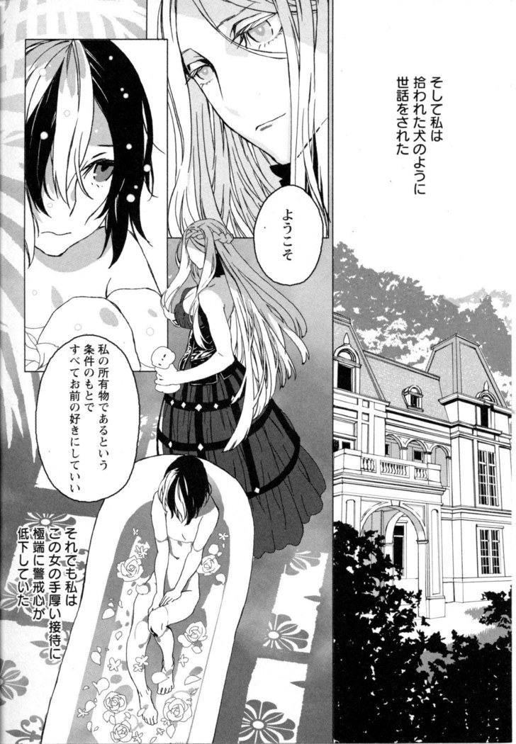 Mebae Vol. 5 - Vivid Girls Love