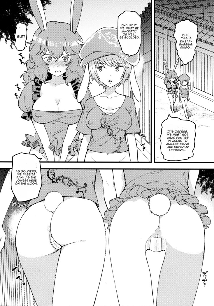 No pants rabbit