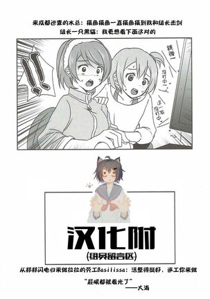 Mega μ2X Page #32