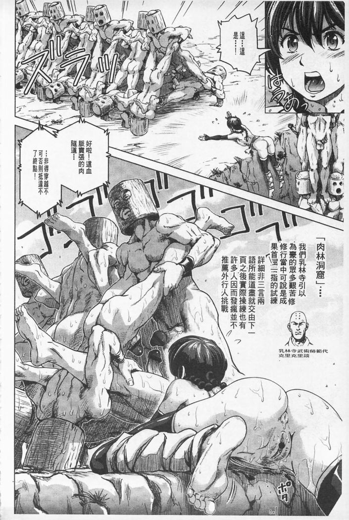 Hikoushiki Heroine Zukan | 非公式女性角色圖姦