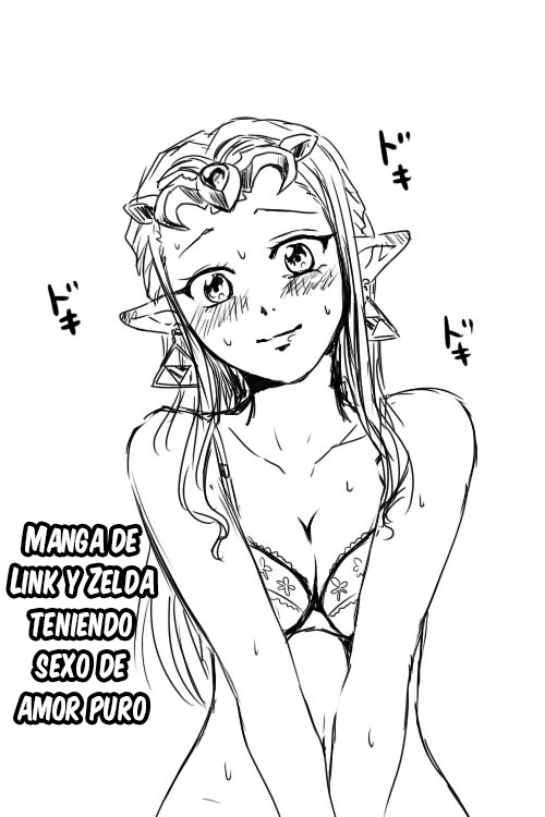 Link to Zelda ga Jun Ai Ecchi suru Manga