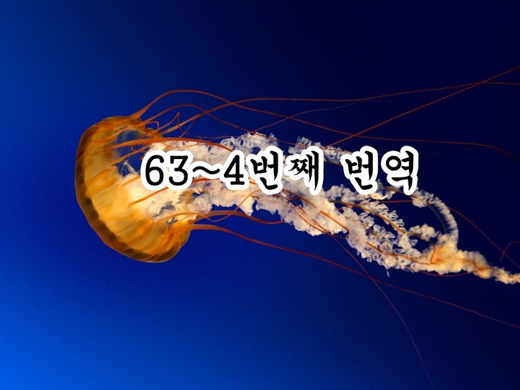 ウチの子1241日記念〆