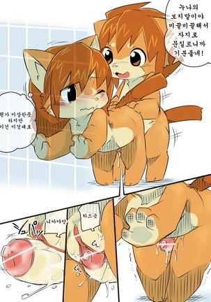 Image 3037726