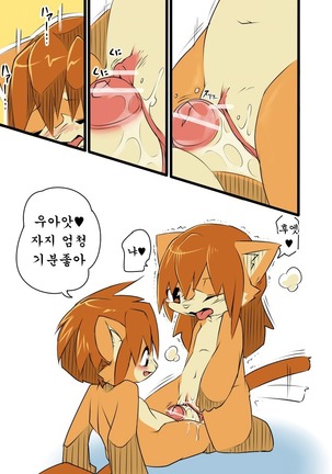 Image 3037719