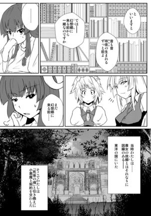 Patchouli Knowledge no Hatsujouki - Page 3