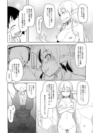 Dosukebe Elf no Ishukan Nikki 2 - Page 11