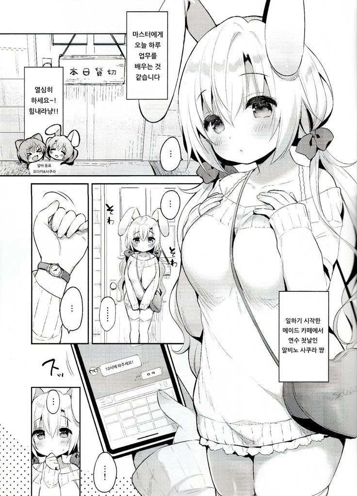 Albino Sakura-chan to Ama Ecchi | 알비노 사쿠라 쨩과 어리광 섹스