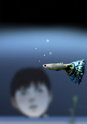 Image 1654531