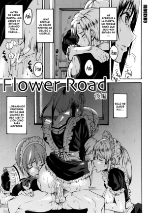 Illusion Girls Page #181