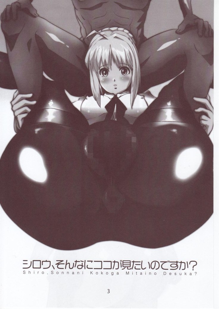 Shirou, Sonnani Kokoga Mitaino Desuka