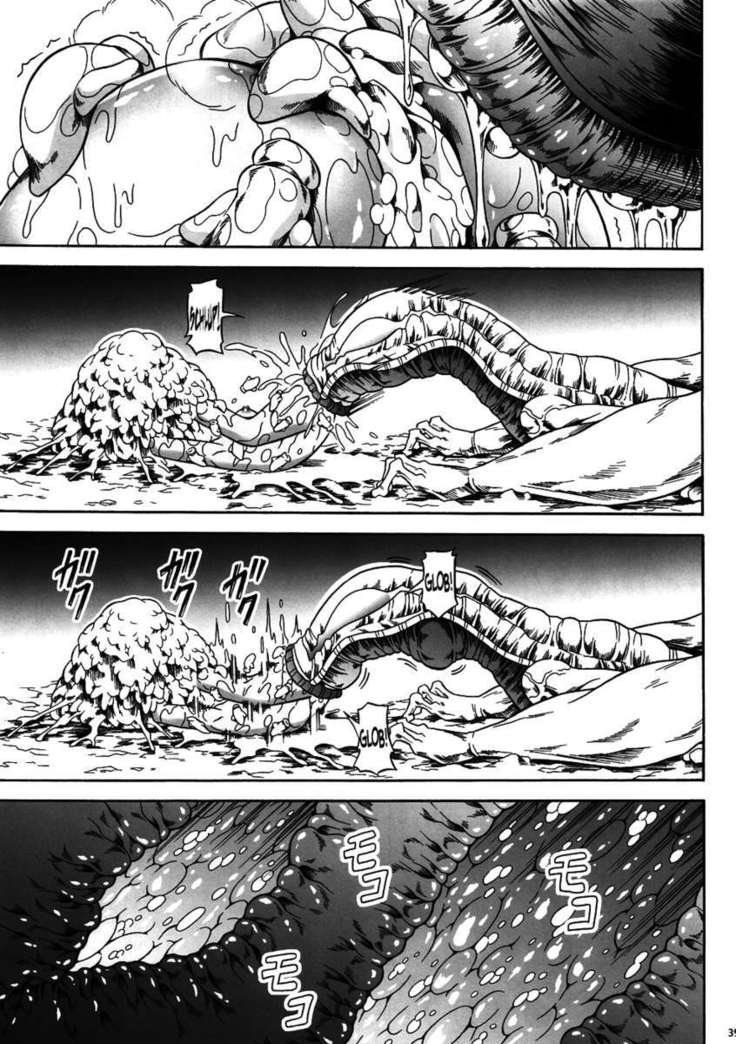 Solo Hunter no Seitai 4 The First Part