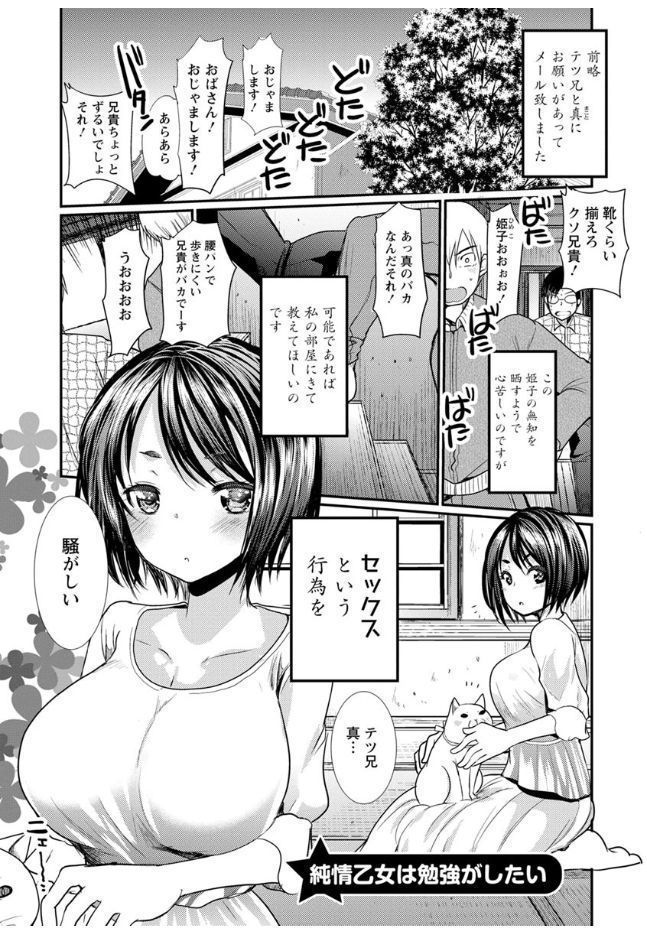 Hametomo Onee-chan - Hametomo Sister