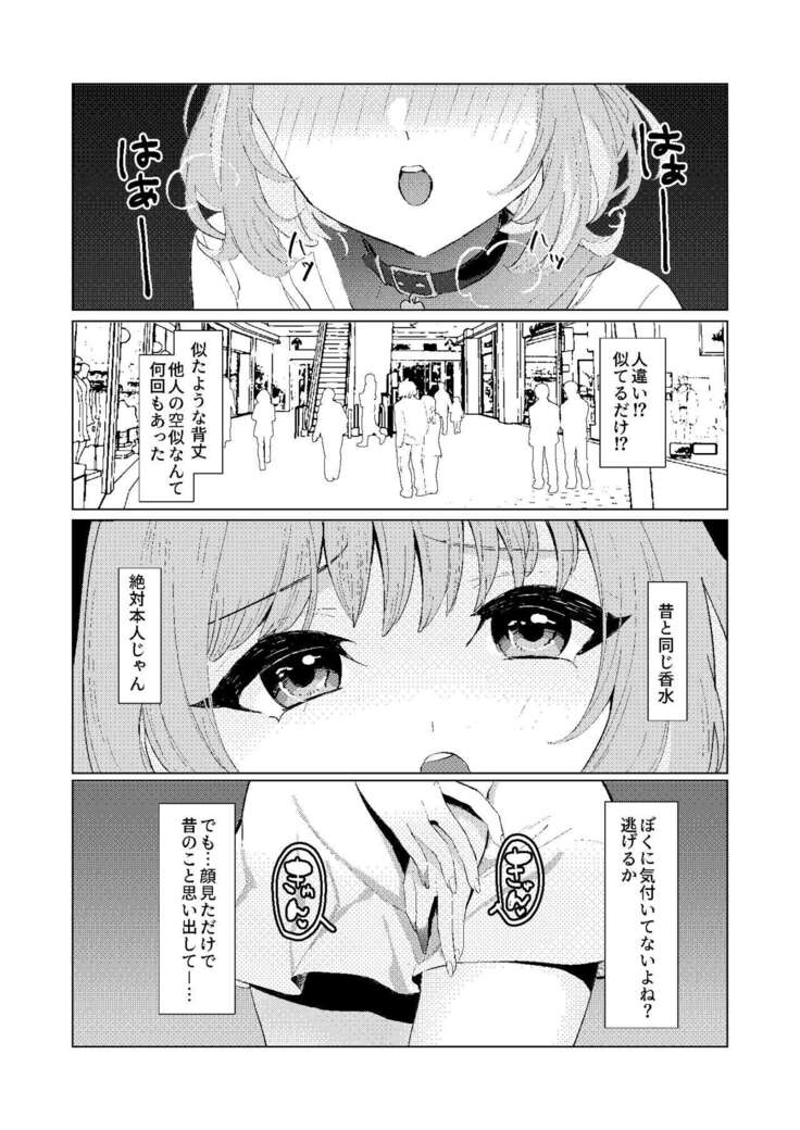 Yumemi Riamu no Seishun